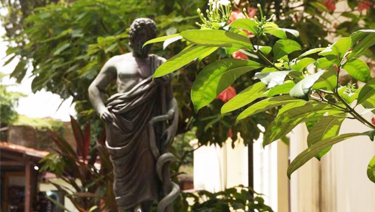 Faculdade de Medicina